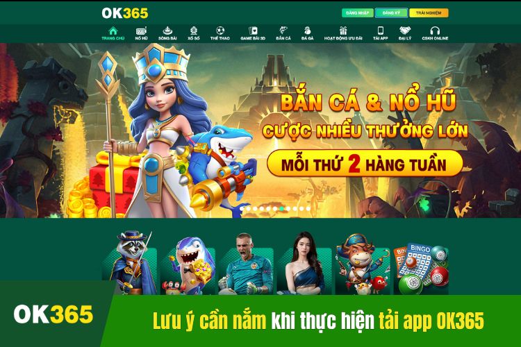 Những lưu ý cần nắm khi thực hiện tải app OK365 