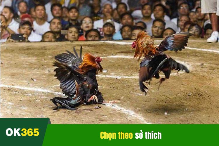 Hôm nay đá gà màu gì tốt chọn theo sở thích